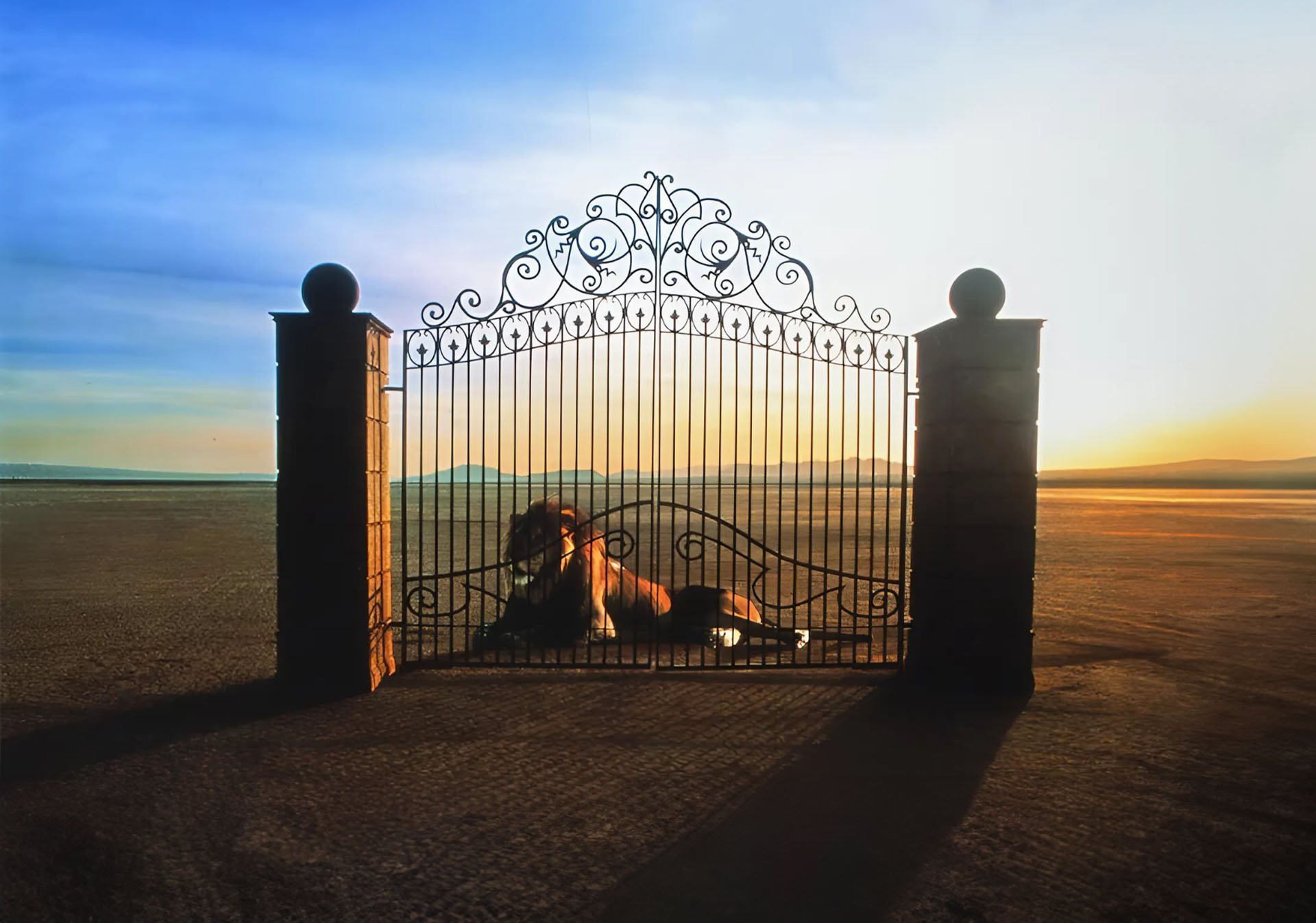 A FAAC története: 1985